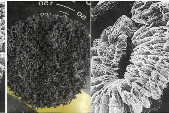 Nhà sản xuất Trung Quốc +80 lưới +100 lưới Carbon cao 98% Graphite mở rộng tự nhiên được sử dụng trong máy móc