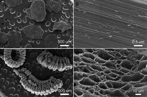 Bột graphite mở rộng carbon cao như chất chống cháy