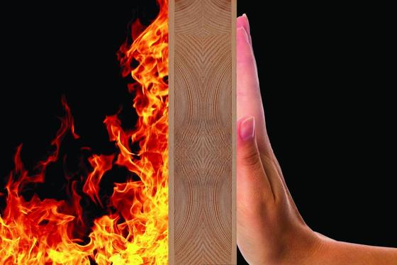 Tỷ lệ giãn nở 270/g Bột graphite giãn nở tối thiểu