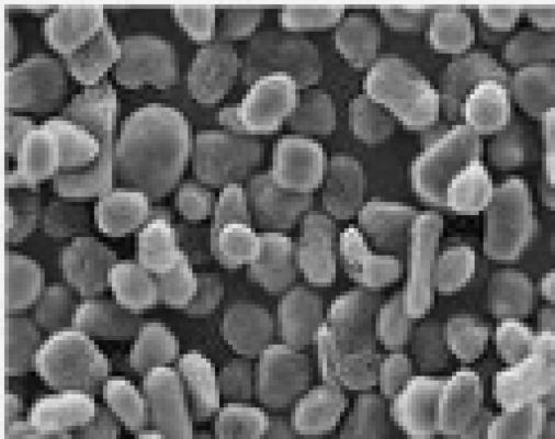 99,97% Hàm lượng carbon 21um và 13ppm Fe Vật liệu cực dương tự nhiên Than chì hình cầu
